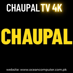 Chaupal TV Subscription | Instant Delivery | Live TV| Dramas