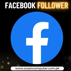 Facebook Followers Service – Instant Delivery via WhatsApp & Email